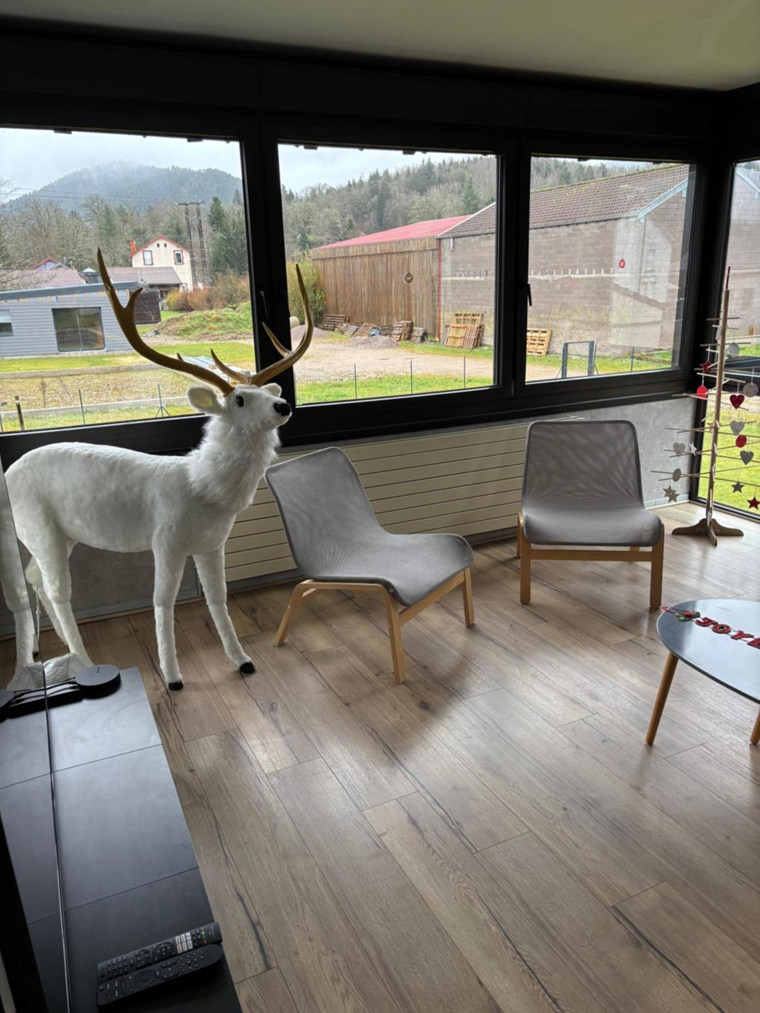 Gite 205 M2, 8Pers Piscine, Jacuzzi, Balneo Privatifs Vagney Exteriér fotografie