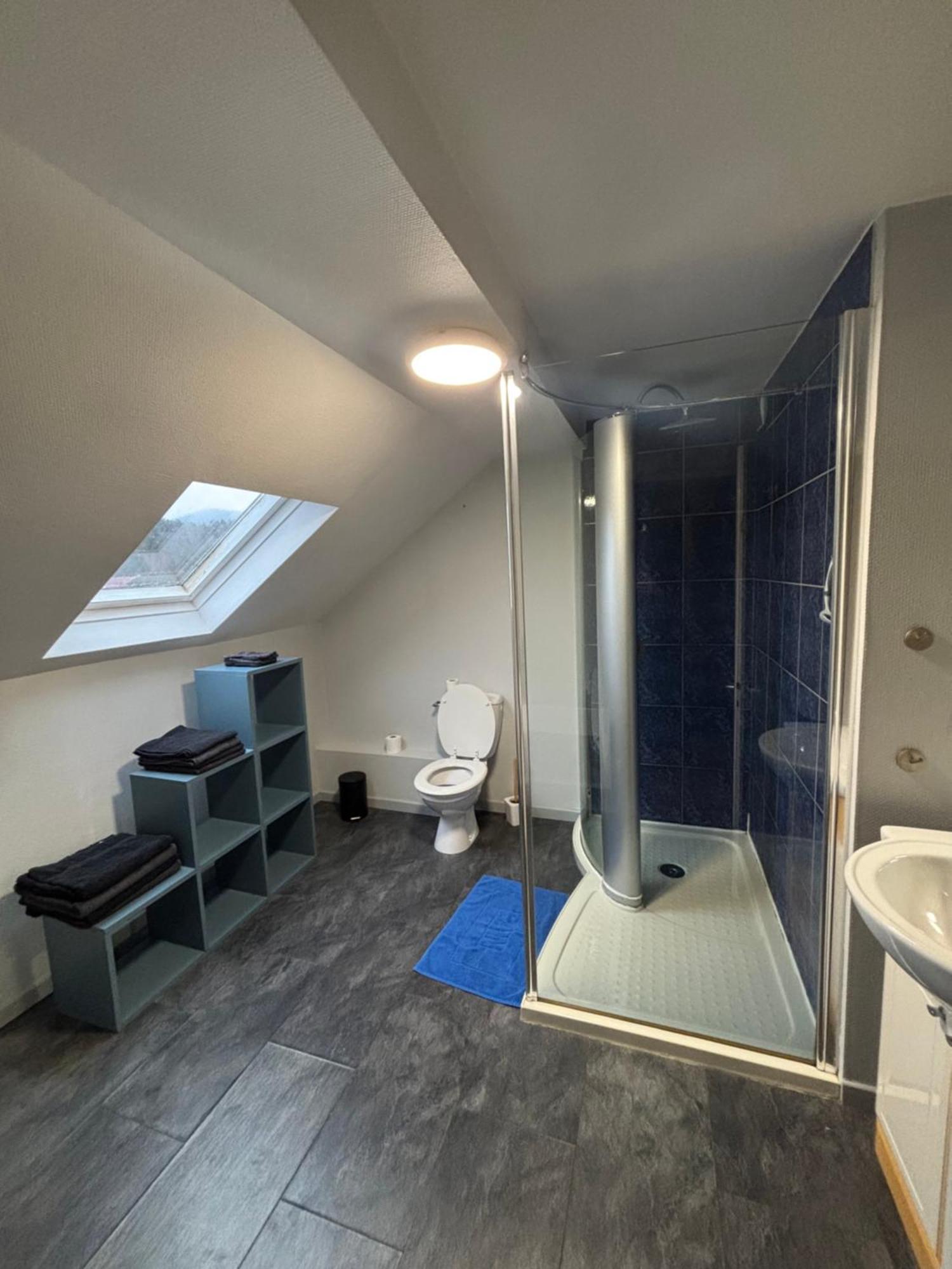 Gite 205 M2, 8Pers Piscine, Jacuzzi, Balneo Privatifs Vagney Exteriér fotografie